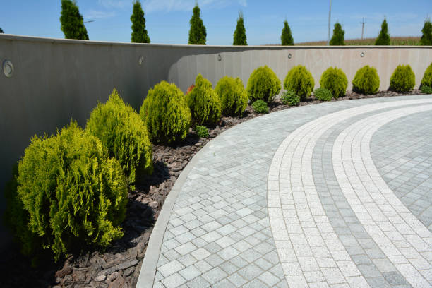 Best Decorative Driveway Pavers  in Morse, LA
